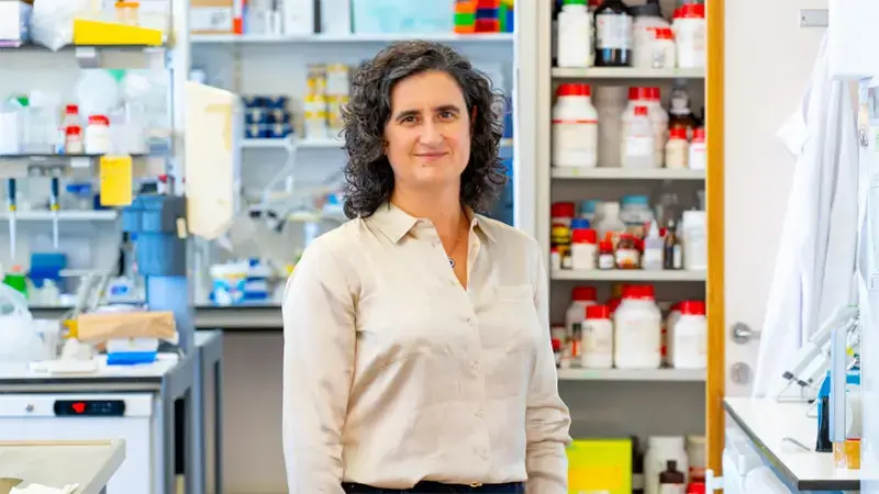 «As competências adquiridas no Executive Master permitem-me ...