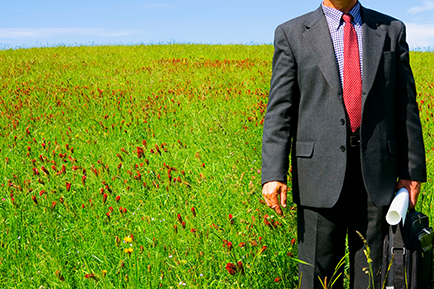 gestao da sustentabilidade
