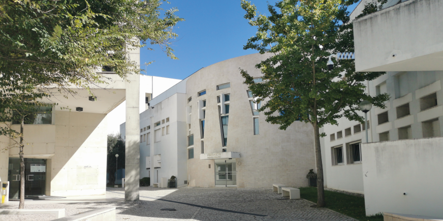 Iscte Executive Education lança novas pós-graduações que ...