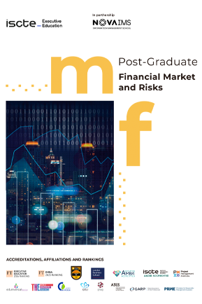 minibrochura_Financial, Market and Risks